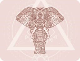 Affirmations : Words of Inner Wisdom