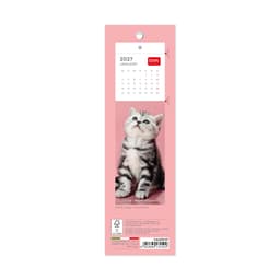 Legami 2027 Kalender/Järjehoidja 5,5x18 CATS Kittens