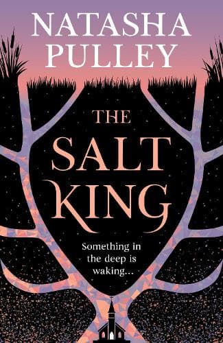 The Salt King: An end of the world thriller, packed with dazzling wit and romance