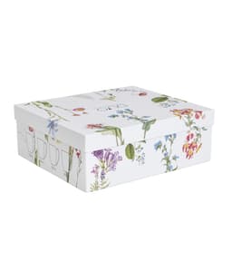 Kruuside komplekt COLORS OF NATURE 4x360ml