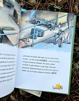 Komissar Käpp. Kadunud kaelakee