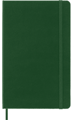 Moleskine jooneline märkmik large size