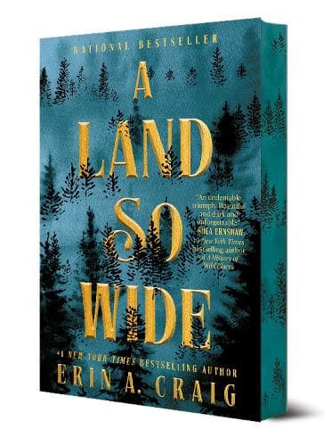 A Land So Wide: A Novel