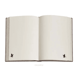 Fourth Wing Shadows of Navarre Midi