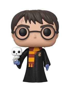 FUNKO POP! Harry Potter - Harry w/ Hedwig