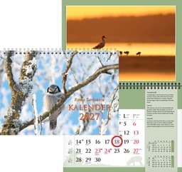 2027 Remo Savisaare kalender