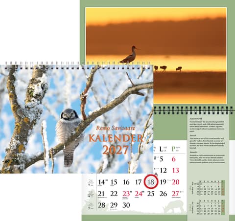 2027 Remo Savisaare kalender