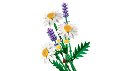 LEGO Botanicals Karikakrad