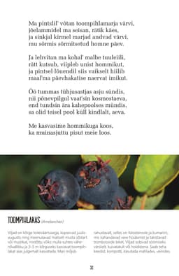 Ma pintsli otsa võtan maasikvärvi ... 50 sonetti