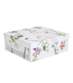 Kruuside komplekt COLORS OF NATURE 4x360ml