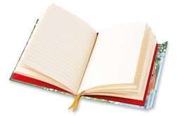 Märkmik Moomin: Dangerous Journey (Foiled Journal)