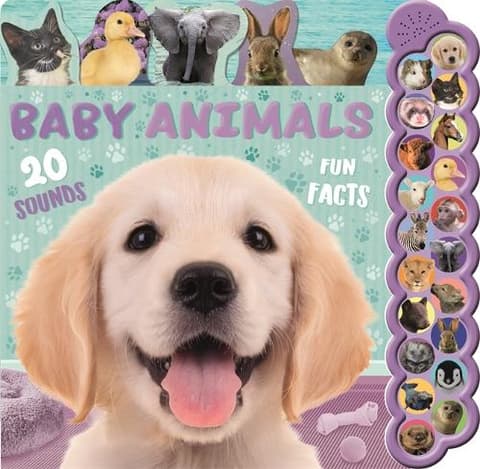 Baby Animals