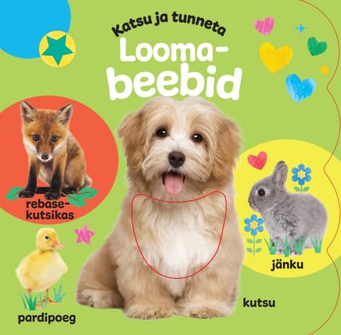 Katsu ja tunneta. Loomabeebid