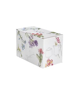 Suhkrutoos ja koorekann COLORS OF NATURE