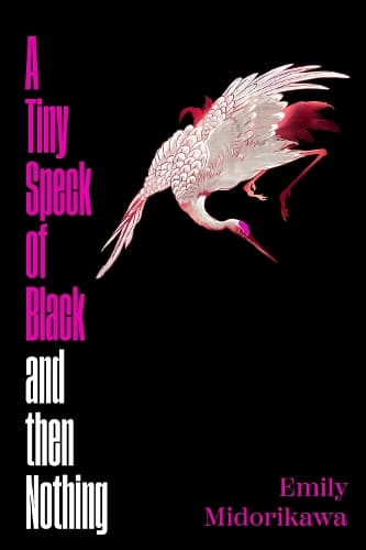 A Tiny Speck of Black and Then Nothing: A dazzling slow-burn debut set in the underworld of Osaka's nightlife