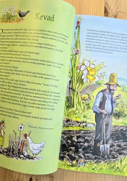 Pettsoni ja Finduse kokaraamat