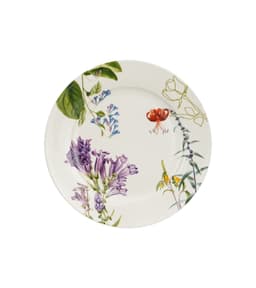 Desserdi taldrikud COLORS OF NATURE