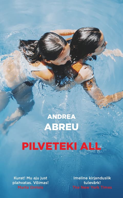 Pilveteki all
