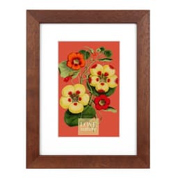 Pildiraam Rustiq 30x40/20x30 mahagon