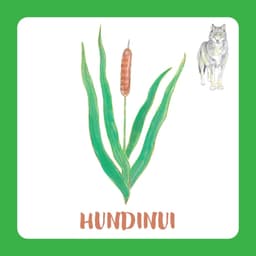 Mis mu nimi on? Pildikaartidega mäng