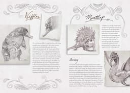 Fantastic Beasts: The Crimes of Grindelwald: Magical Creatures Hardcover Blank Sketchbook