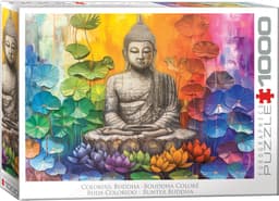 Pusle 1000 tk Colorful Buddha