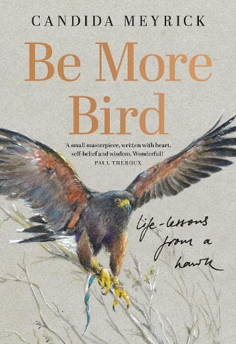 Be More Bird: Life Lessons from a Hawk