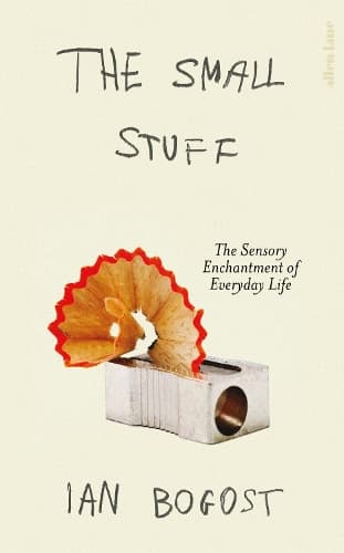 The Small Stuff: The Sensory Enchantment of Everyday Life