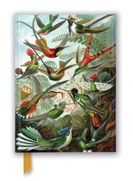 Ernst Haeckel : Hummingbirds (Foiled Journal)