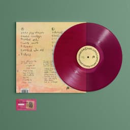LP Puuluup - Viimane suusataja