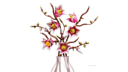 LEGO Botanicals Magnolia  Branches