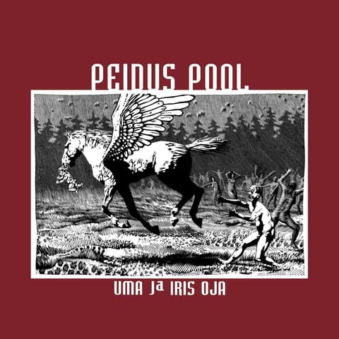 Uma ja Iris Oja - Peidus Pool. CD