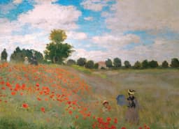 Pusle 1000 tk The Poppy Field by Monet