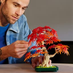 LEGO Botanicals Jaapani punase vahtra bonsaipuu