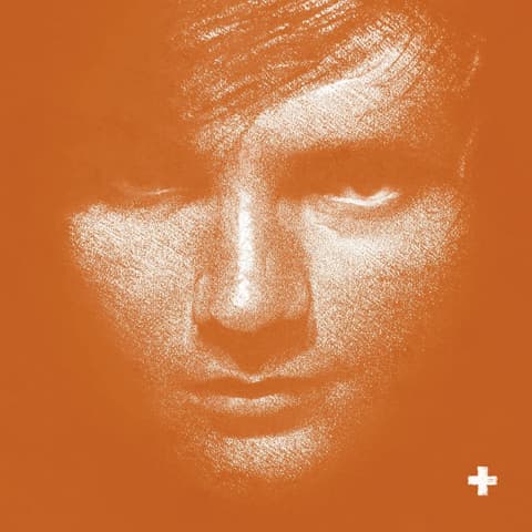 LP Ed Sheeran - +