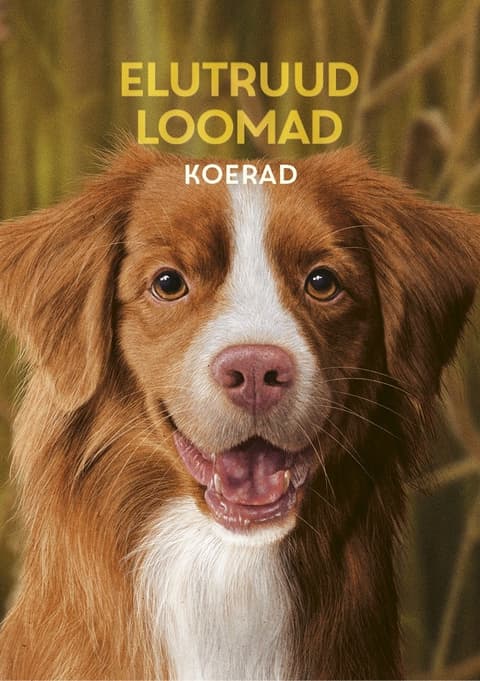 Elutruud loomad. Koerad