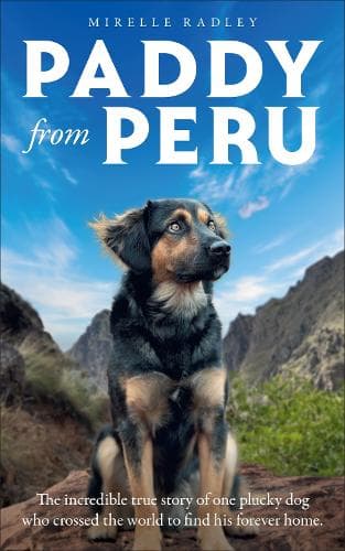 Paddy from Peru: The incredible true story of one plucky dog who crossed the world to find his forever home