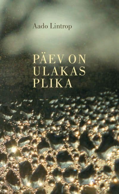 Päev on ulakas plika