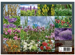 RAVIMTAIMED 2026, A4, klamberköide