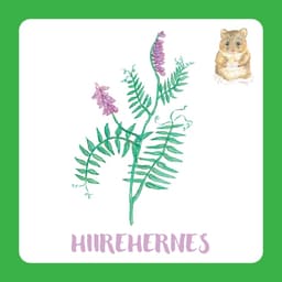 Mis mu nimi on? Pildikaartidega mäng