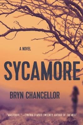 Sycamore: A Novel
