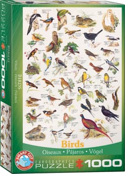 Pusle 1000 tk Birds