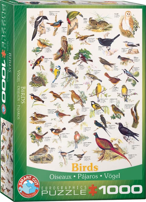 Pusle 1000 tk Birds