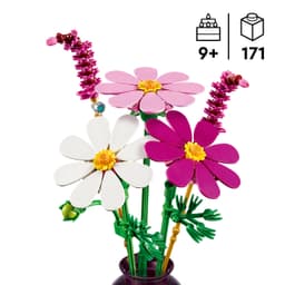 LEGO Botanicals Kosmoseõied