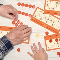 Retro mäng LEGAMI Bingo