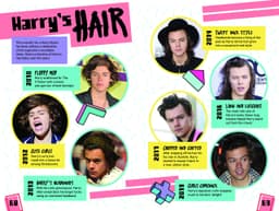 Harry Styles: The Ultimate Fan Book (100% Unofficial)