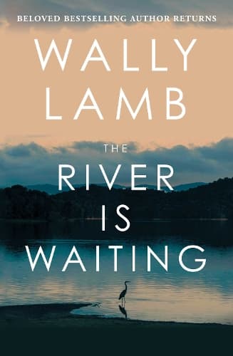 The River Is Waiting: A Novel