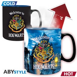 Kruus HARRY POTTER - 460 ml - Letter