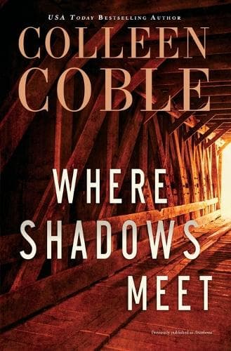 Where Shadows Meet: A Romantic Suspense Novel