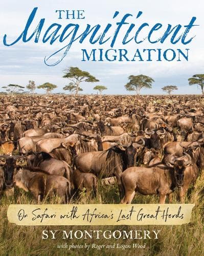 Magnificent Migration: On Safari with Africa's Last Great Herds